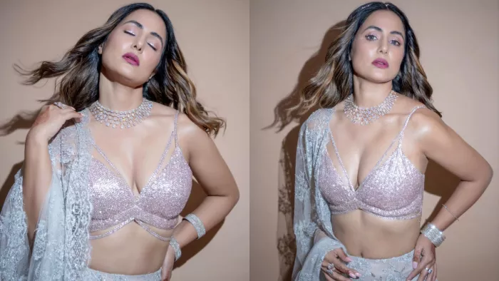 Hina Khan Bold Video: हिना खान टीवी एक्ट्रेस है।