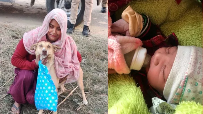 Bijnor News: झाड़ियां में मिला नवजात बच्चा, कुत्ते की मदद से पहुंची महिला