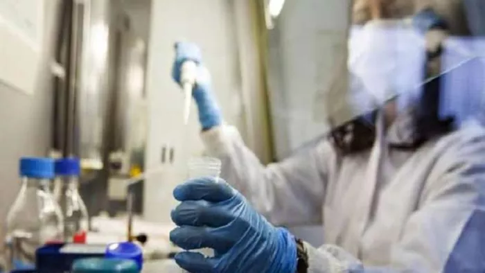 Jharkhand News: Lab Assistant को कब मिलेगा नियुक्ति पत्र? किस दिन होगी प्रमाण पत्र की जांच