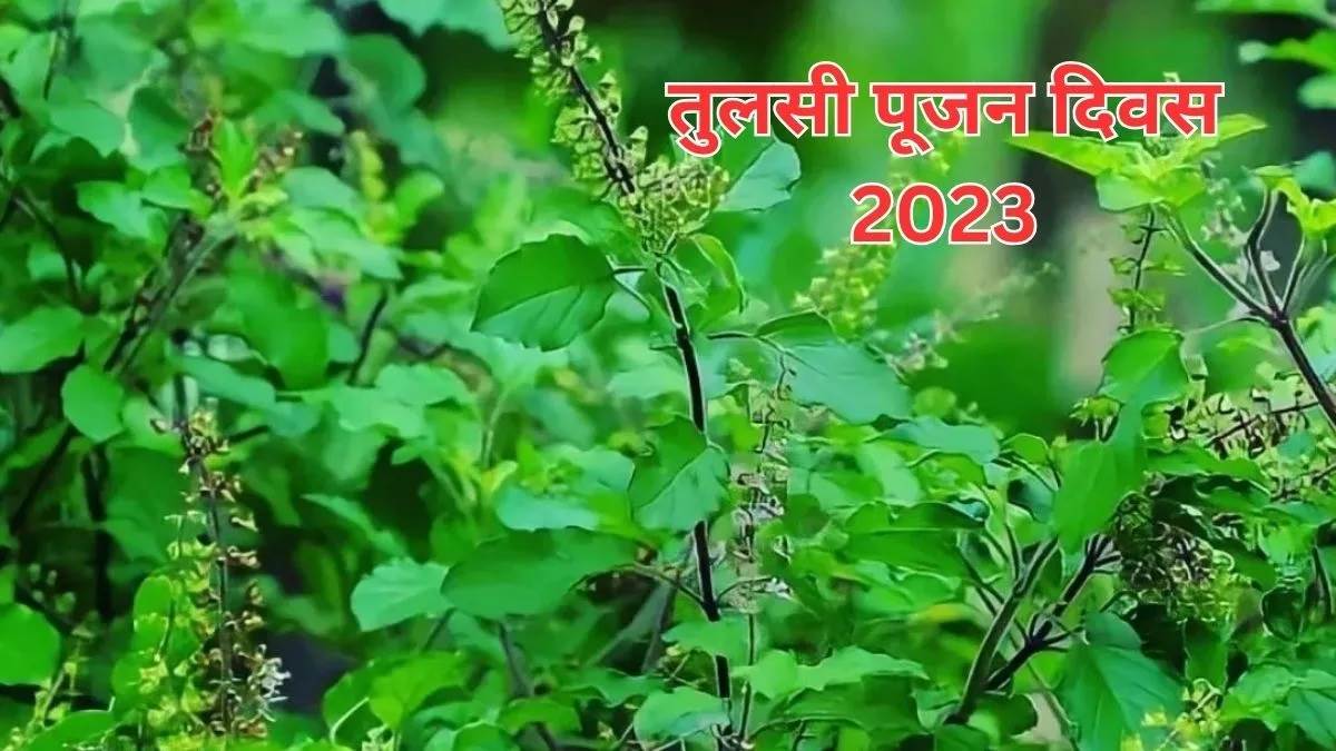 TulsI Diwas 2023 तुलसी दिवस पर पूजा के समय इन मंत्रों का करें जाप, कभी