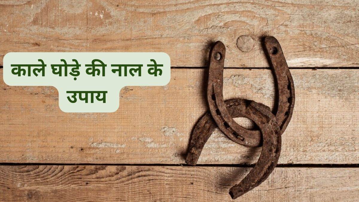 https://www.jagranimages.com/images/newimg/24122023/24_12_2023-vastu_tips_4_23612694.jpg