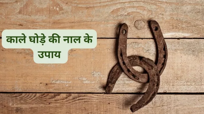 New Year 2024 Ke Upay: नए साल में करें काले घोड़े की नाल के ये उपाय, जीवन होगा सुखमय