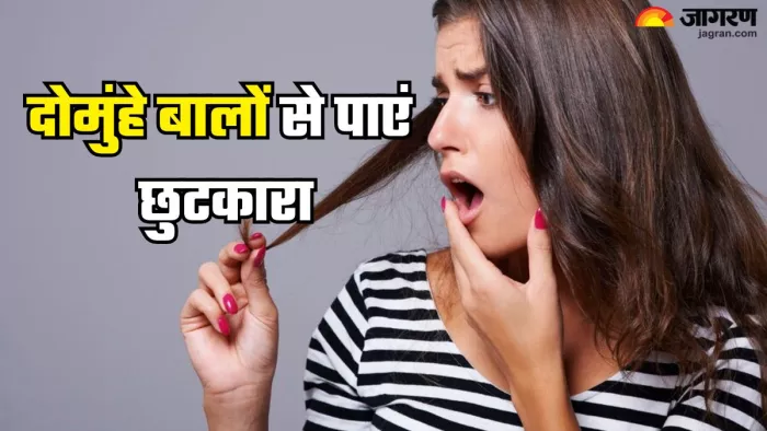 दोमुंहे बालों से ऐसे पाएं छुटकारा (Picture Credit- Freepik)