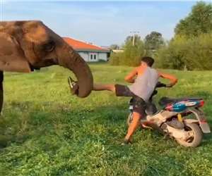 बाइक अथवा कार चलाते समय सुरक्षा नियमों का जरूर पालन करें।