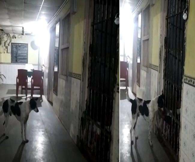 News Article Hero Image