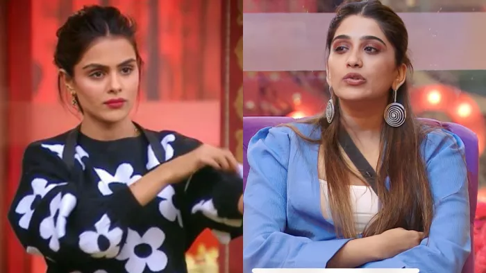 Colors TV Show Bigg Boss 16, Instagram