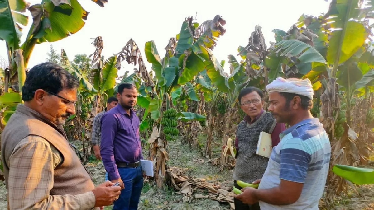 तंत्र के गण: 12 हजार की नौकरी छोड़ घर पहुंचे रंजीत, खेती-किसानी से कमा रहे सलाना 12 लाख रुपये