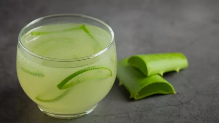एलोवेरा का जूस पीना हो सकता है सेहत के लिए फायदेमंद