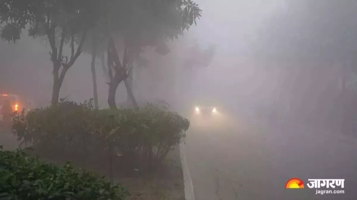 Pilibhit Weather: कोहरे की चादर में लिपटी तराई, विजिबिलिटी हुई शून्य; पारा पहुंचा पांच डिग्री