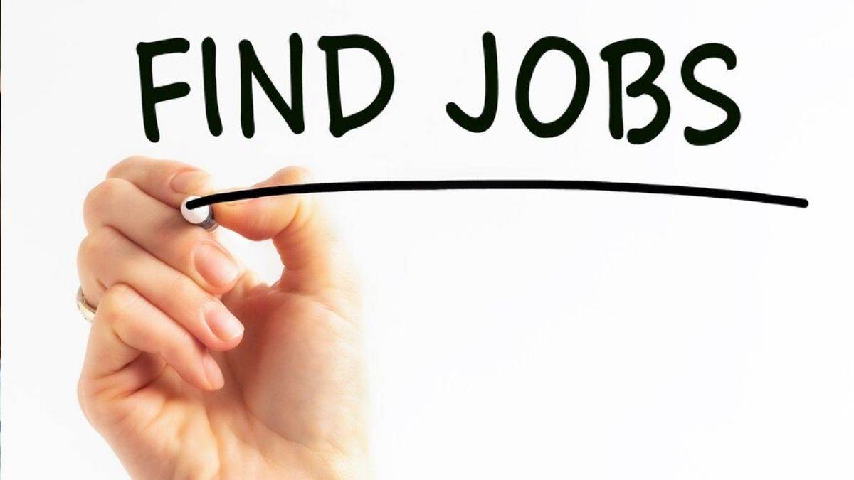 bob recruitment 2025 bank of baroda will soon close the online application form for manager and other post check details at bankofbaroda in