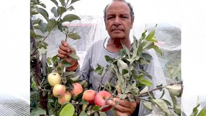 गर्म इलाकों में सेब उगाने पर हरिमन शर्मा को मिला पद्मश्री अवार्ड।