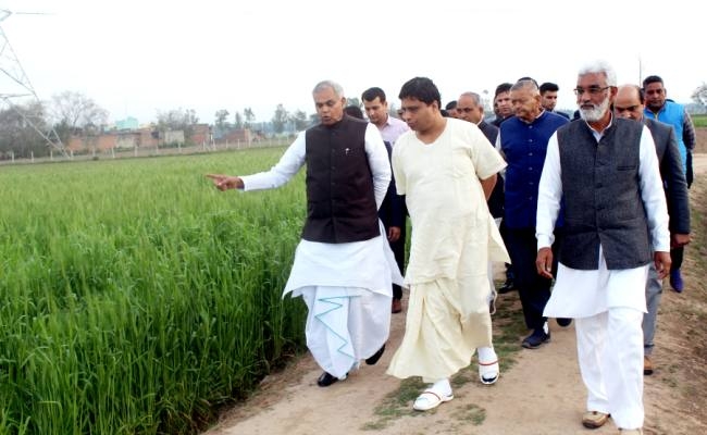 पतंजलि योगपीठ 200 एकड़ पर करेगा कम लागत प्राकृतिक खेती - Patanjali Yogpeeth  will do 200 acres of low cost natural farming