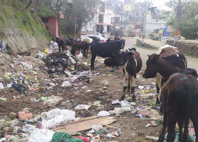 dumping site located on the side of circular road can become a hindrance in cleanliness ranking