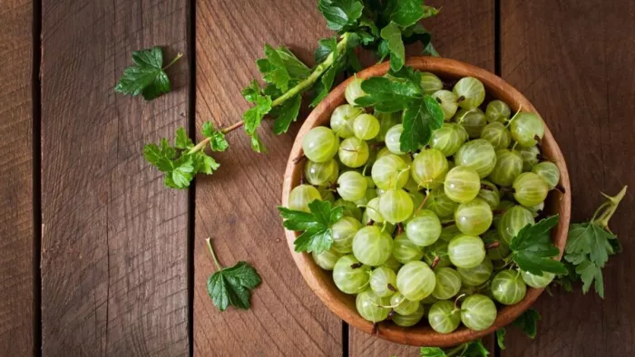 आंवला खाने से मिल सकते हैं ढेरों फायदे