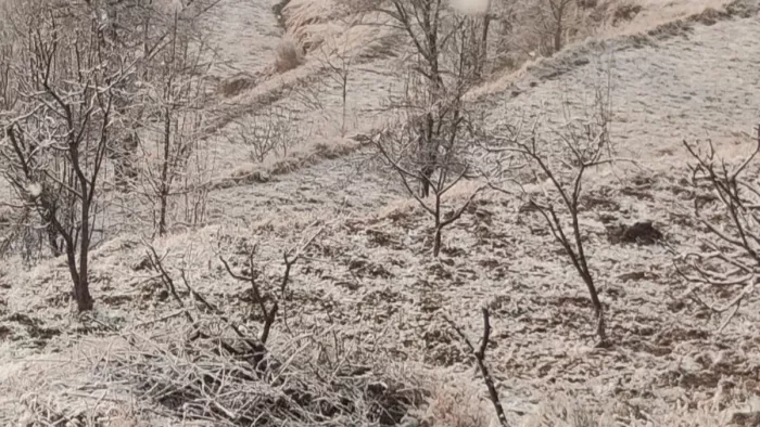 पहाड़ी इलाकों में बर्फबारी के बाद फिर बढ़ा ठंड का प्रकोप (फाइल फोटो)