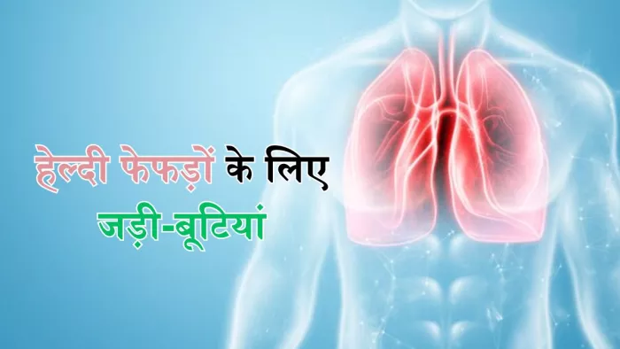 फेफड़ों को हेल्दी रखने में मददगार हैं ये जड़ी-बूटियां
