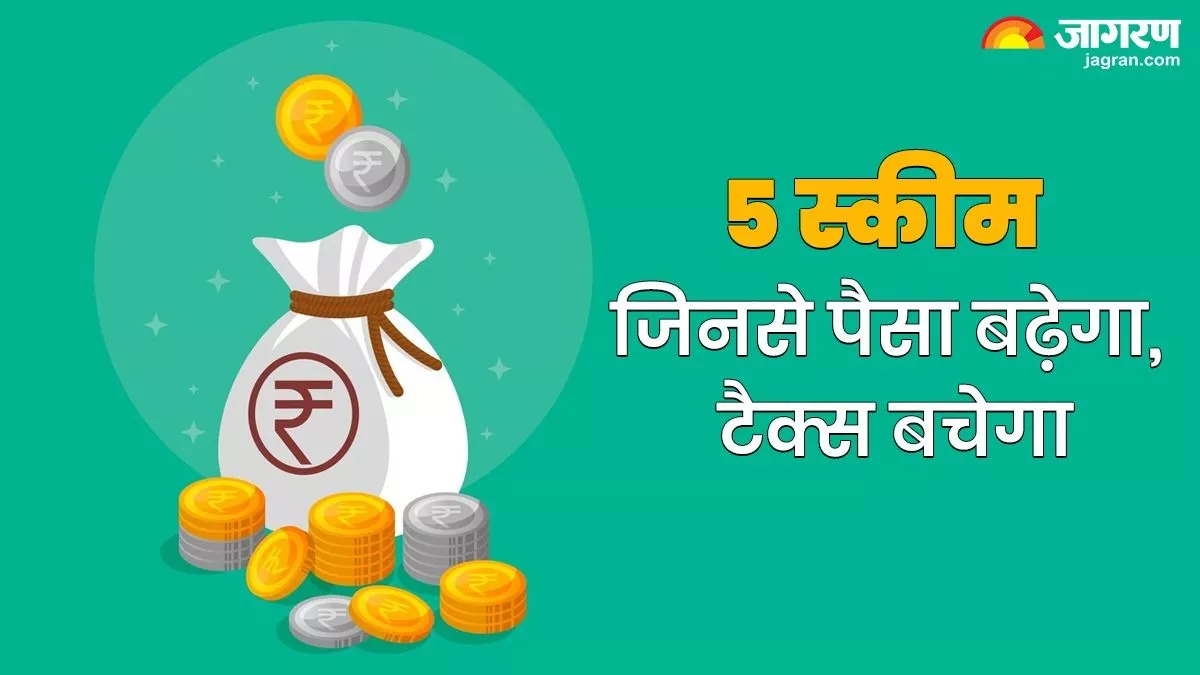 Tax Saving Schemes : निवेश से पैसा बढ़ाने के साथ बचेगा टैक्स, आपके लिए ही हैं ये 5 स्कीम