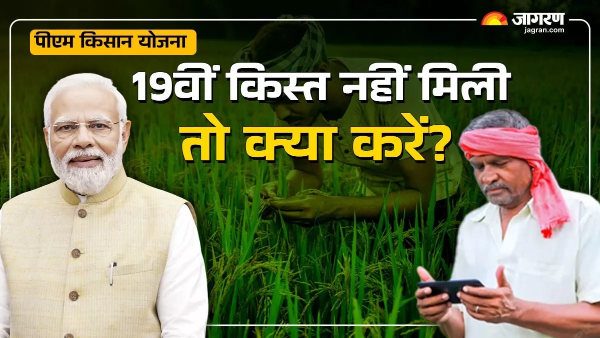 PM Kisan Yojana: 19वीं किस्त नहीं मिली? जानिए क्या हो सकती है वजह और कहां करें शिकायत