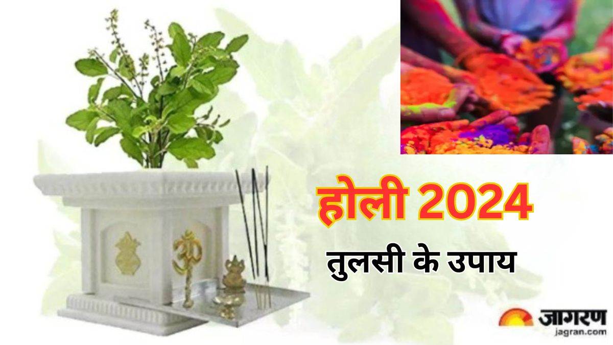 holi 2024 tulsi remedies for holi dhan prapti ke liye tulsi ke totke in hindi