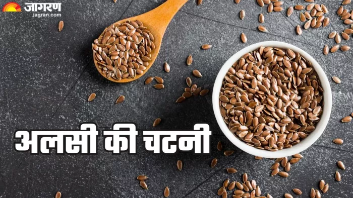 इस रेसिपी से बनाएं अलसी की चटनी (Picture Credit- Freepik)