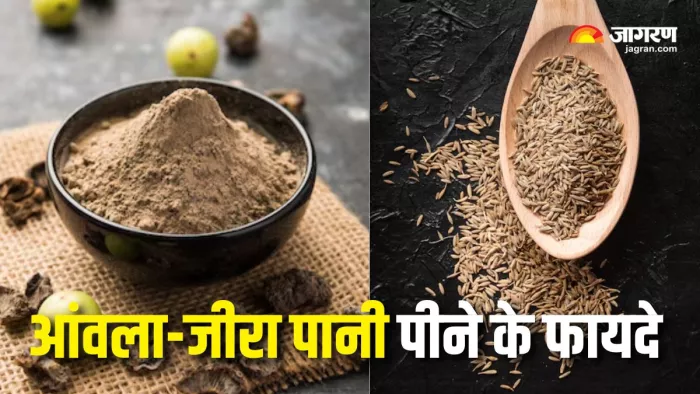 Amla-Jeera Water Benefits: सुबह आंवला-जीरा का पानी पीने के फायदे (Picture Courtesy: Freepik)