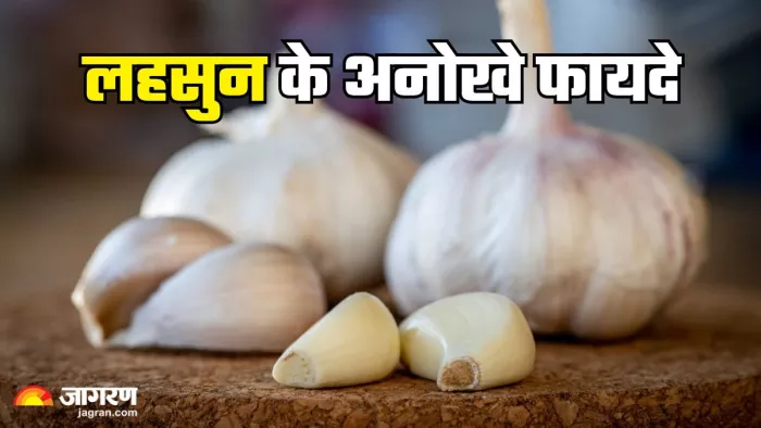 सेहत के लिए वरदान है लहसुन (Picture Credit- Freepik)