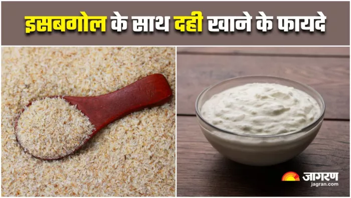 Isabgol with Curd Benefits: सेहत के लिए बेहद फायदेमंद है दही और इसबगोल की जोड़ी (Image Source: Freepik)