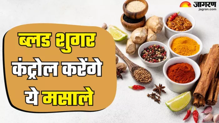 डायबिटीज में फायदेमंद हैं ये मसाले (Picture Credit- Freepik)