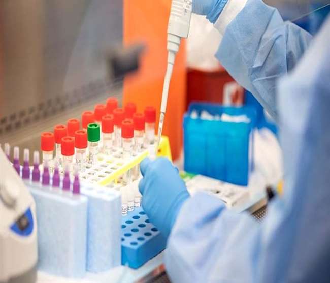 जांच के लिए भेजे गए करीब 1300 सैंपलों की रिपोर्ट आने का इंतजार हो रहा है।