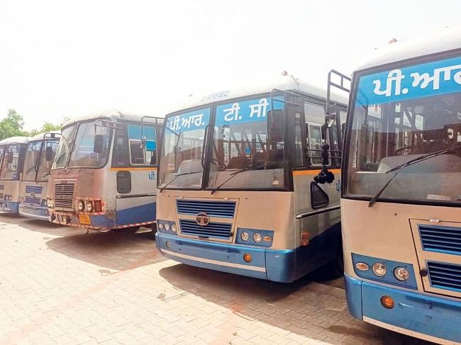 new lorries are gathering dust in the bus stands due to the exhaustion of ed fuel