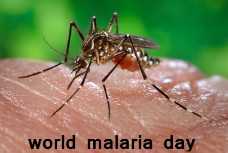 विश्व मलेरिया दिवस : समय पर हो मलेरिया की जांच तो जीवन पर नहीं आएगी आंच ...