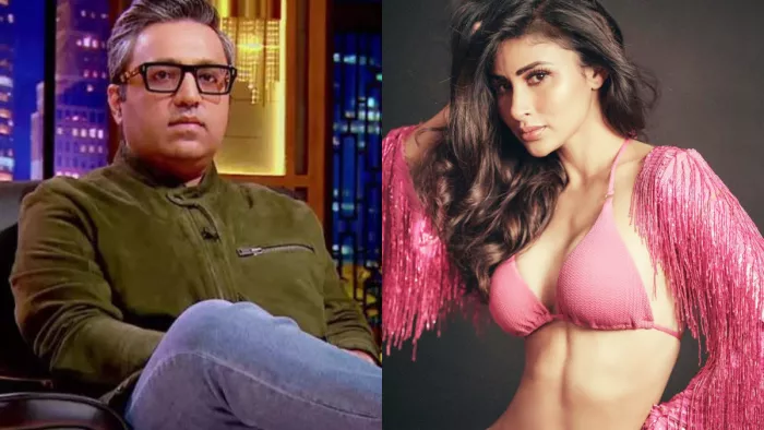 Shark Tank India Judge Ashneer Grover Revealed He Was Getting in Trouble With Wife for Like Mouni Roy Bikini Photo/Instagram