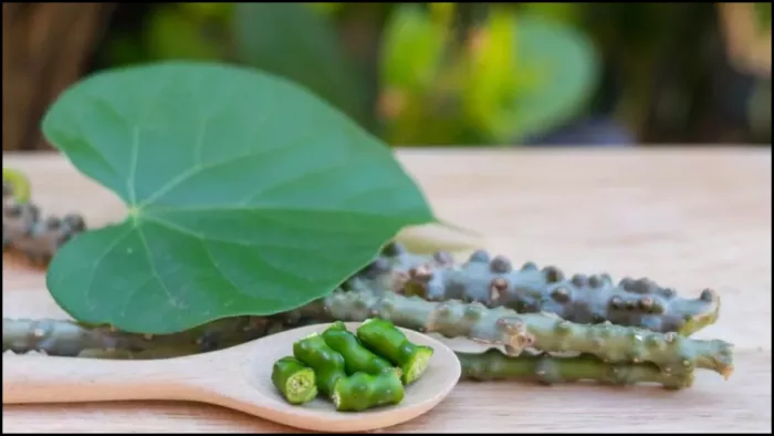 सेहत के लिए गिलोय के 5 फायदे