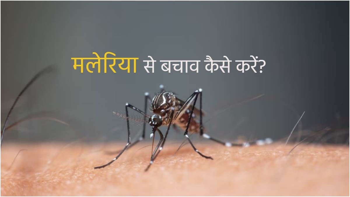 https://www.jagranimages.com/images/newimg/25042023/25_04_2023-malaria-prevention_23394319.jpg
