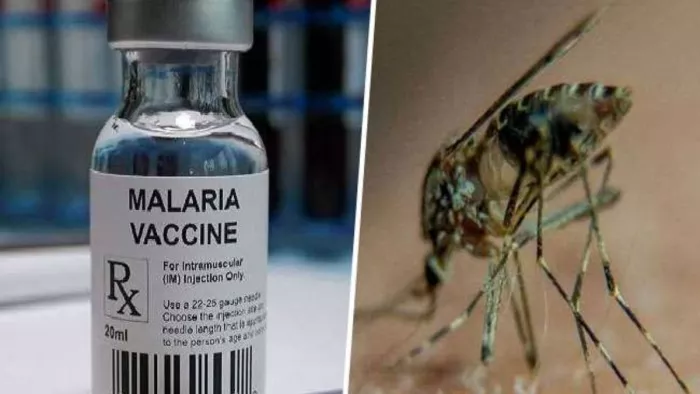Malaria Treatment: अब मच्छर नहीं फैला सकेंगे मलेरिया, तैयार की जा रही दवा