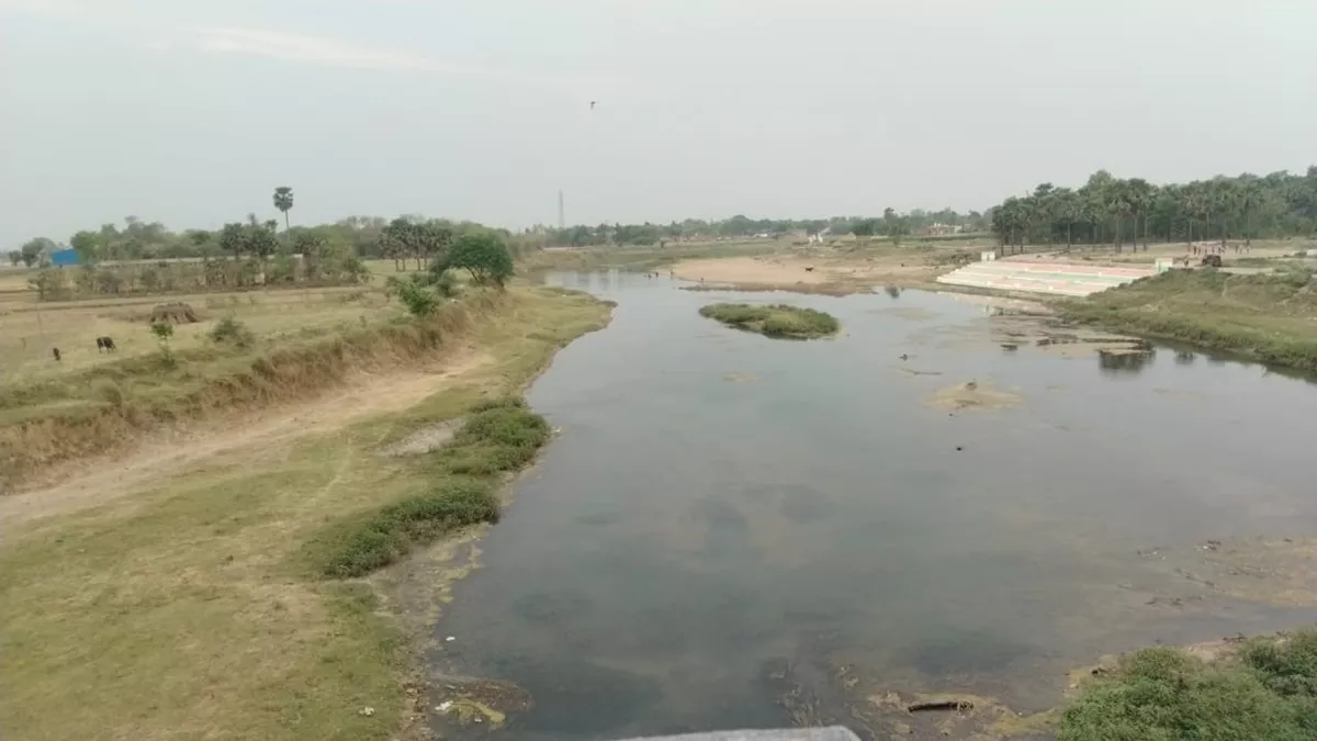 Arwal News: अरवल की लाइफ लाइन पुनपुन नदी पर संकट, निचले हिस्से में आई बड़ी समस्या; लोगों की बढ़ी चिंता
