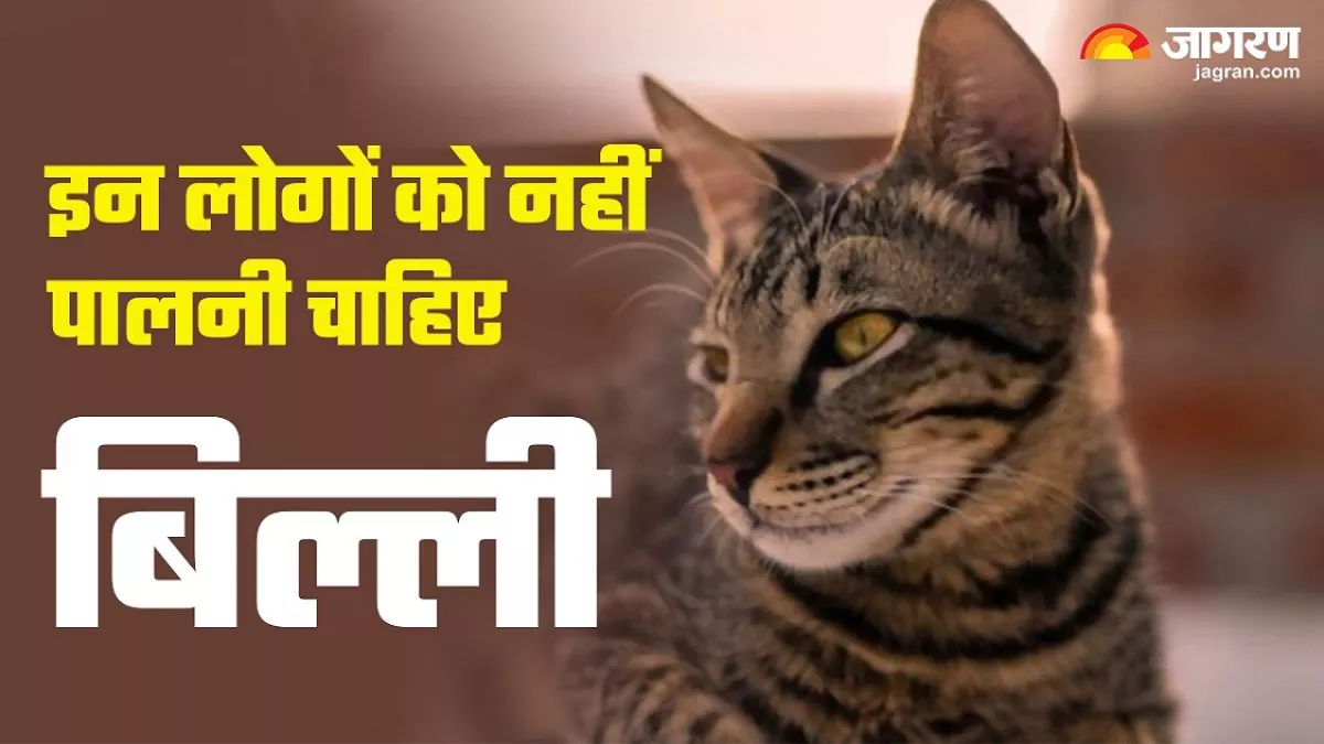 https://www.jagranimages.com/images/newimg/25042024/25_04_2024-billi_palna_shubh_ya_ashubh_23704490_132250291.jpg