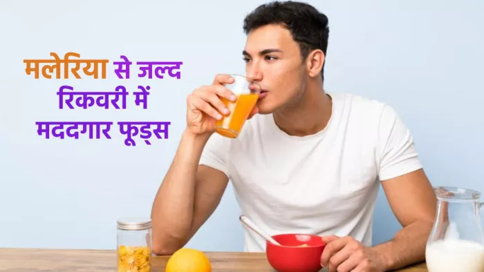 World Malaria Day 2024: मलेरिया होने पर क्या खाएं और किन चीज़ों से करें परहेज