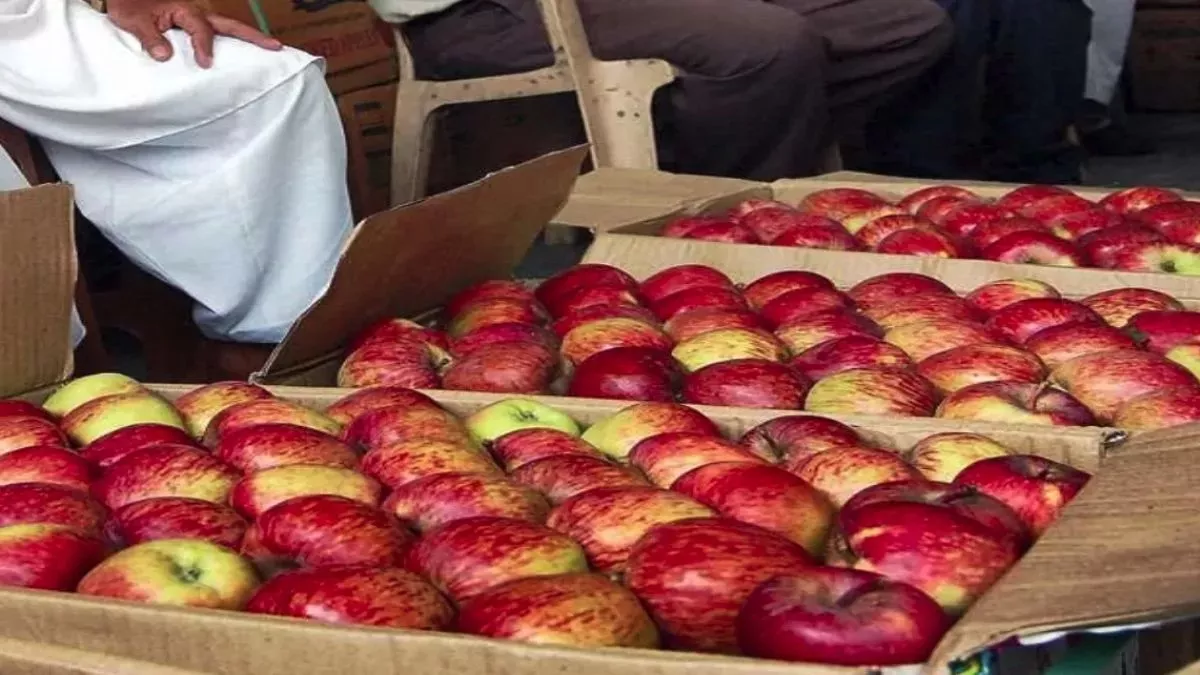Himachal में अब सेब 20 किलो की पैकिंग में ही बिक सकेगा, बागवानों को होगा लाभ; नोटिफिकेशन जारी
