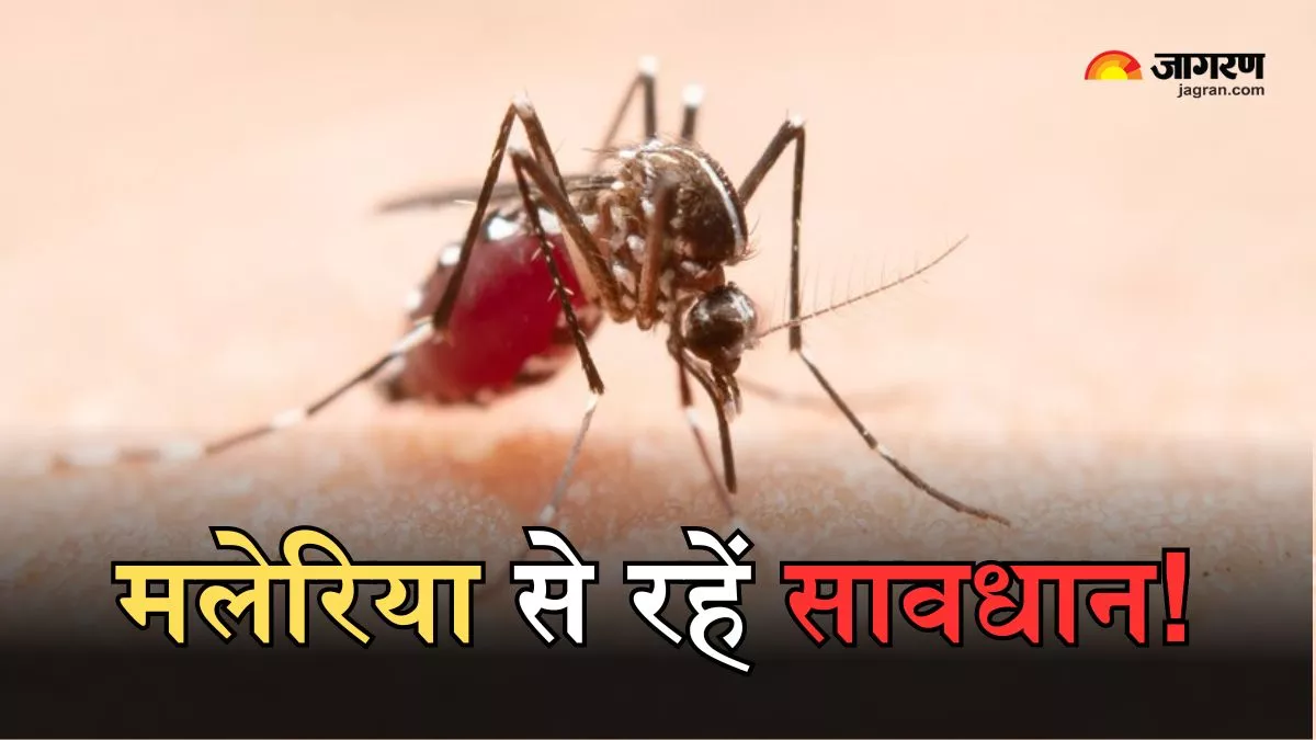 World Malaria Day 2024: मलेरिया का वक्त रहते पहचान ही है वरदान, इन लक्षणों से लगाएं इसका पता