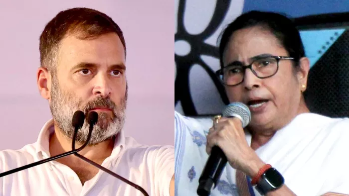 'राहुल गांधी ने ममता बनर्जी के इशारे पर...', चुनाव के बीच नीतीश कुमार के मंत्री का खुलासा