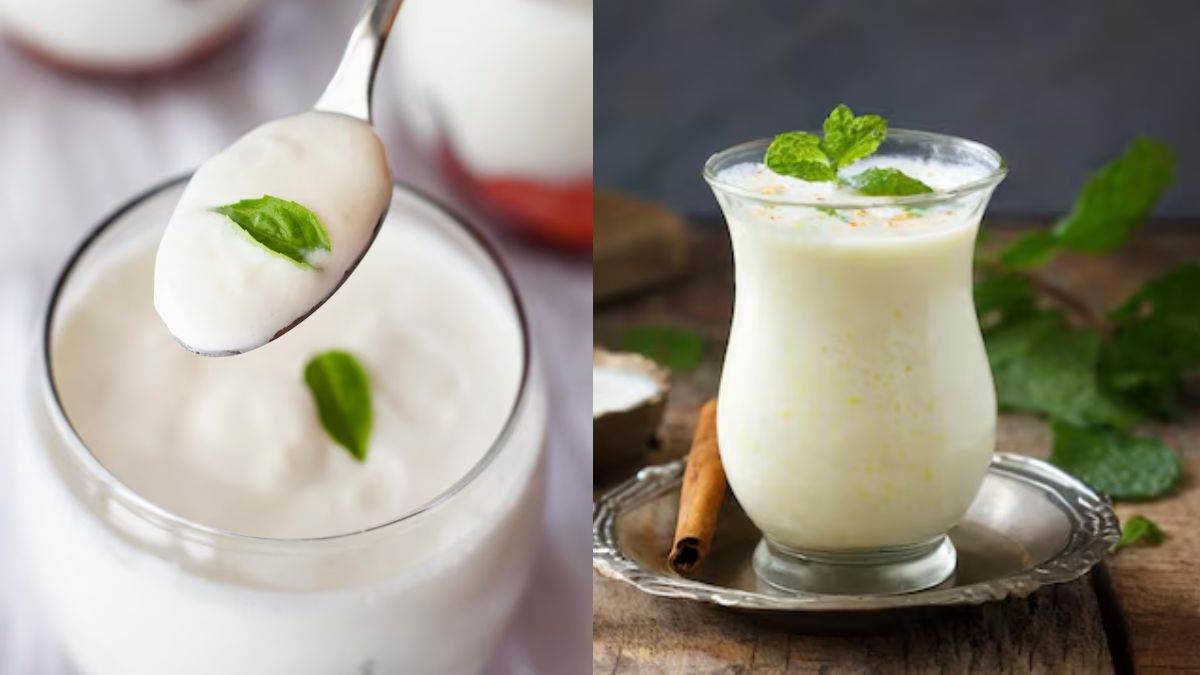 https://www.jagranimages.com/images/newimg/25042025/25_04_2025-curd_vs_butter_milk_23925460.jpg