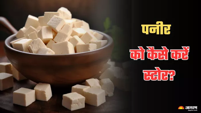इन टिप्स की मदद से पनीर को करें स्टोर। (Image Credit- Freepik)