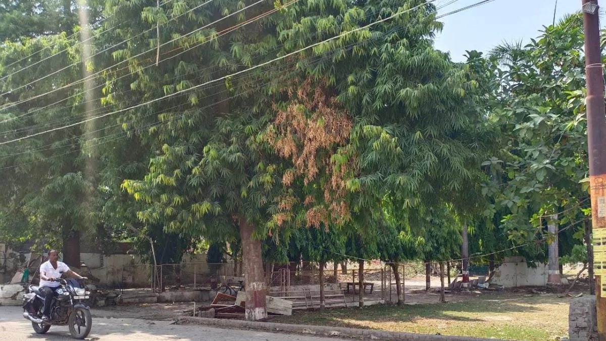 Prayagraj News: अतीक अहमद और अशरफ के चालीसवां पर नहीं आया कोई करीबी, पुलिस को पत्नियों के आने की थी उम्मीद