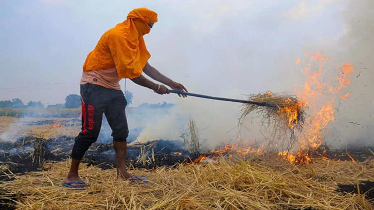 पराली जलाने से रोकने में नाकाम रहे बठिंडा फाजिल्का के डीसी पर्यावरण  मंत्रालय ने कार्रवाई के दिये निर्देश - DC of Bathinda Fazilka failed to  stop stubble burning ...