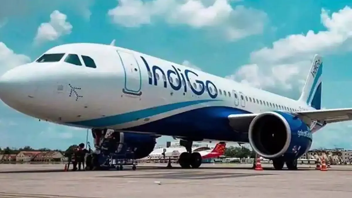 Indigo Flight: बाल-बाल बची मंगलुरु से दुबई जा रहे 160 यात्रियों की जान, इंडिगो की फ्लाइट से टकराया पक्षी