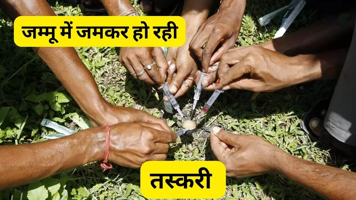 मवेशी तस्करों के सहारे 'उड़ता जम्मू' बनाने की नापाक साजिश, नशे का आदी बना कर रहे तस्करी