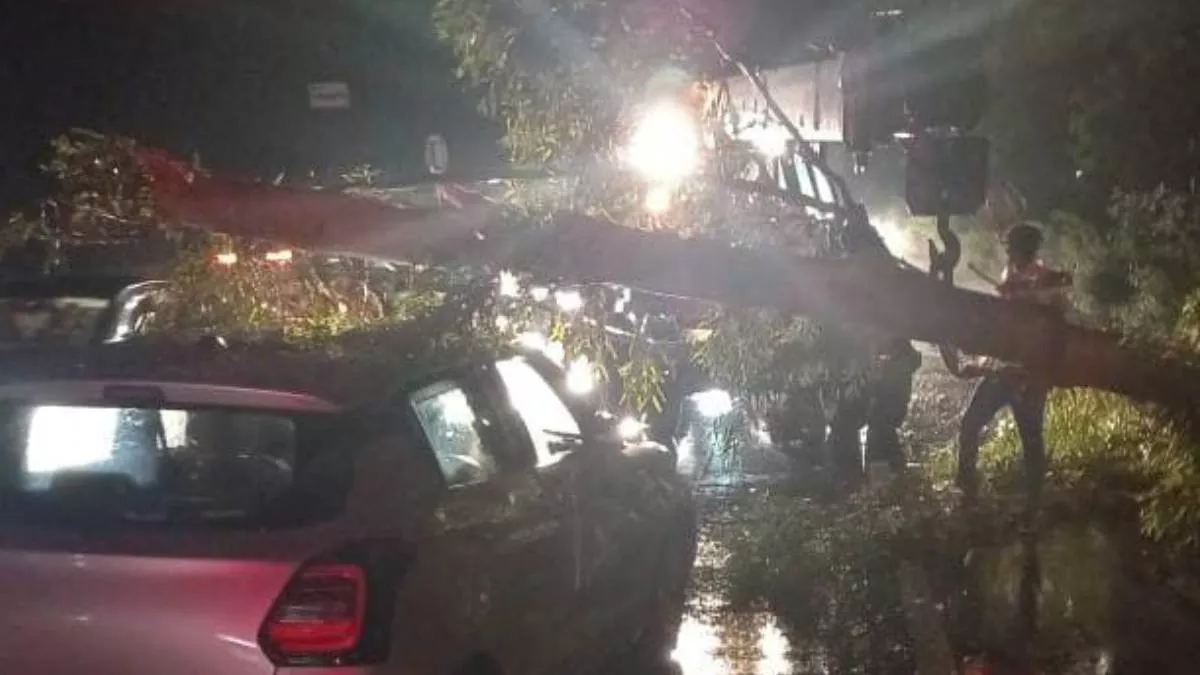 Amroha News: गजरौला में आंधी से कार पर गिरा पेड़, हाईवे पर थमे वाहन, रेलवे स्टेशन पर ई-रिक्शा के ऊपर गिरा पेड़