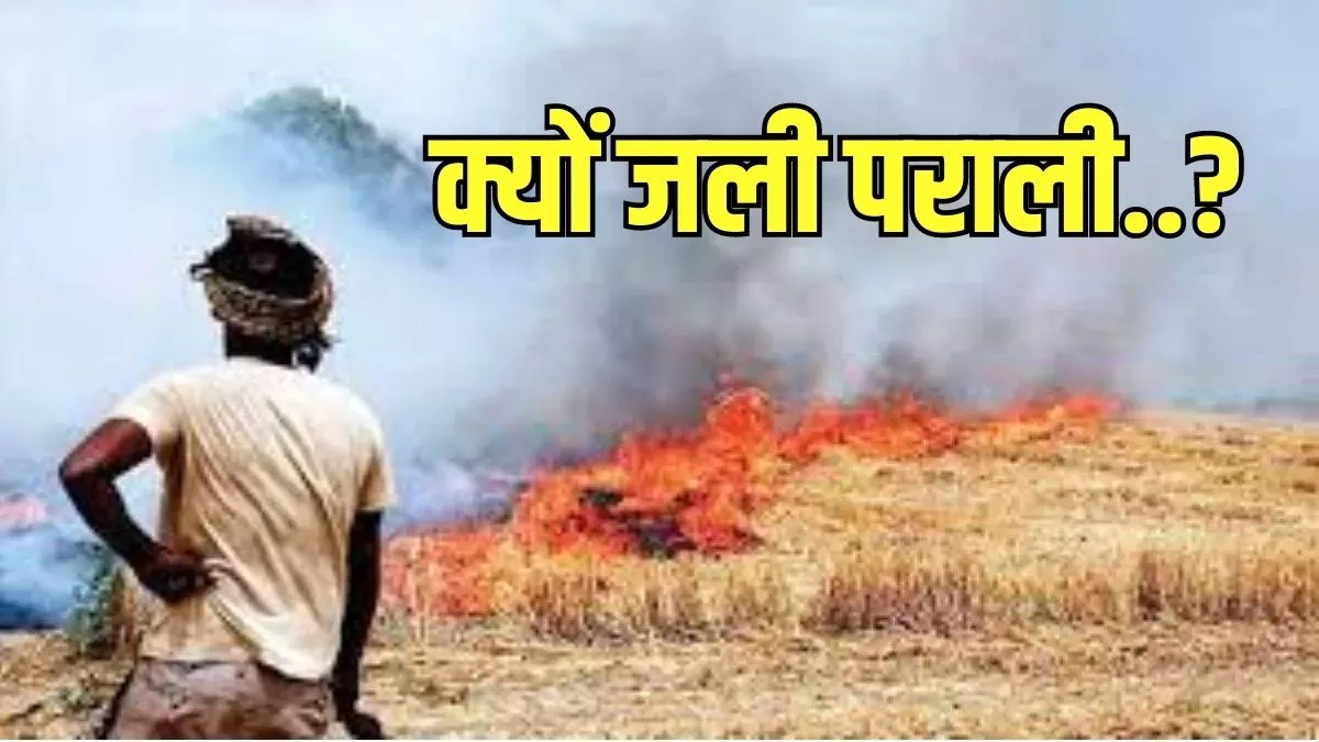 Haryana: यमुनानगर के उपायुक्त तक पहुंची पराली की आंच, पर्यावरण मंत्रालय ने मुख्य सचिव को लिखा पत्र