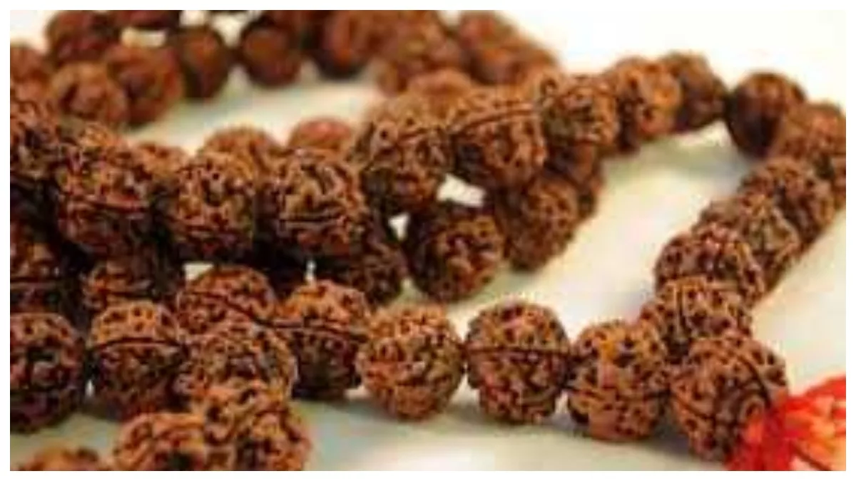 Vastu Tips for Rudraksha: रुद्राक्ष पहनकर न करें ये काम, जान लें नियम, वरना हो सकती है परेशानी